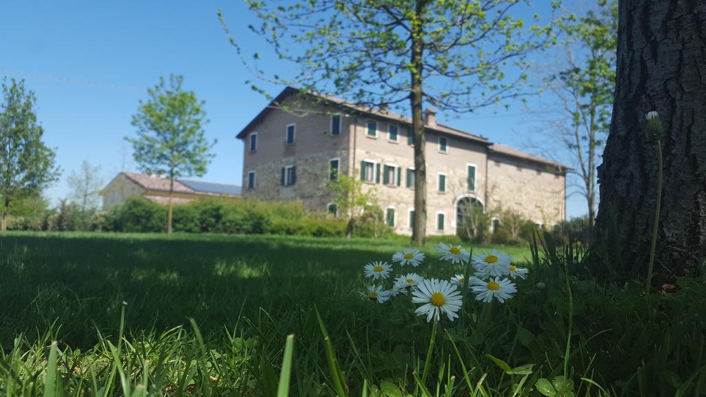 Agriturismo Il Brugnolo สกานดิอาโน ภายนอก รูปภาพ