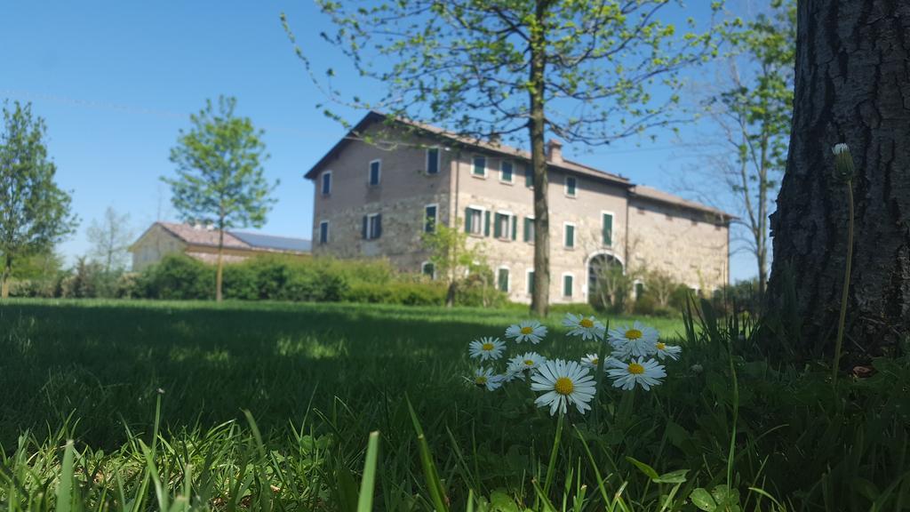 Agriturismo Il Brugnolo Villa สกานดิอาโน ภายนอก รูปภาพ