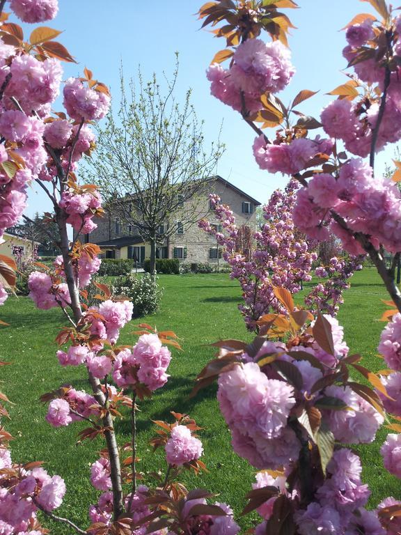 Agriturismo Il Brugnolo สกานดิอาโน ภายนอก รูปภาพ