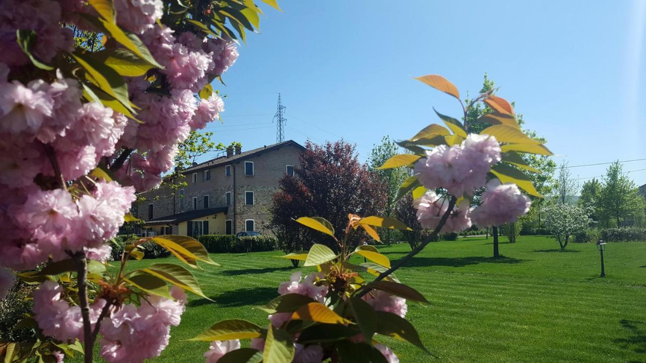 Agriturismo Il Brugnolo สกานดิอาโน ภายนอก รูปภาพ